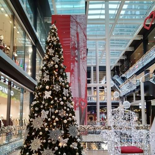 Photo #8702734