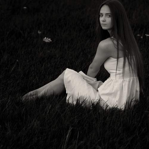 Photo #8703034