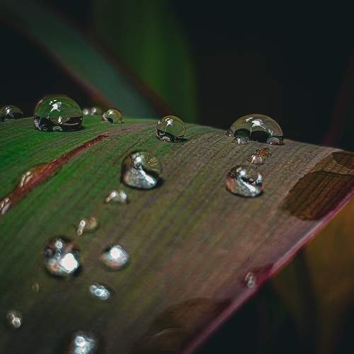 Photo #8703251
