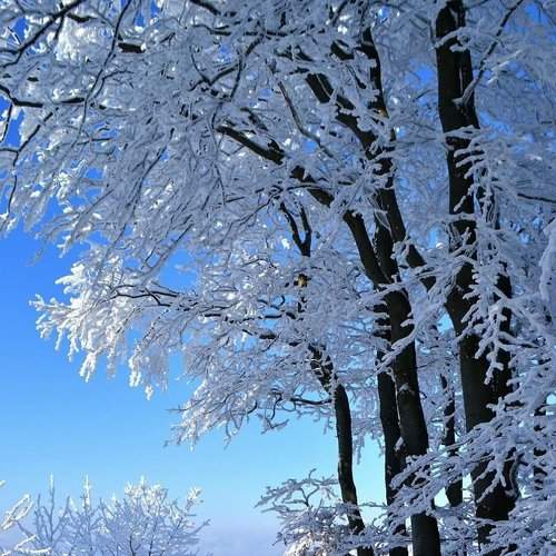 Photo #8703254