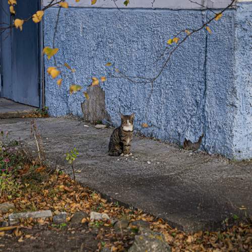 Photo #8703418