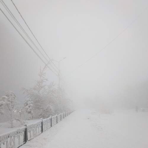 Photo #8703767
