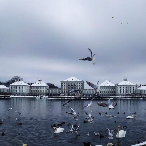 Photo #8703849