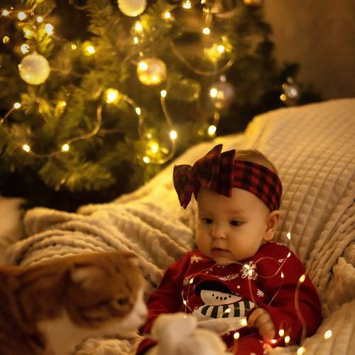 Photo #8704008