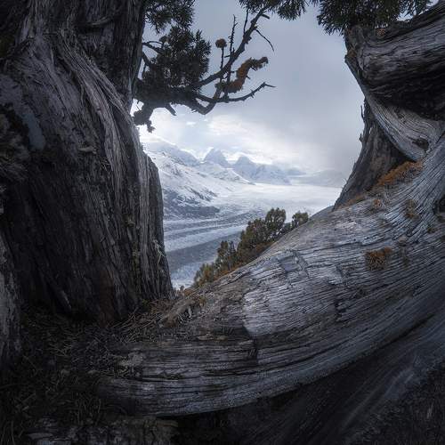 Photo #8704150