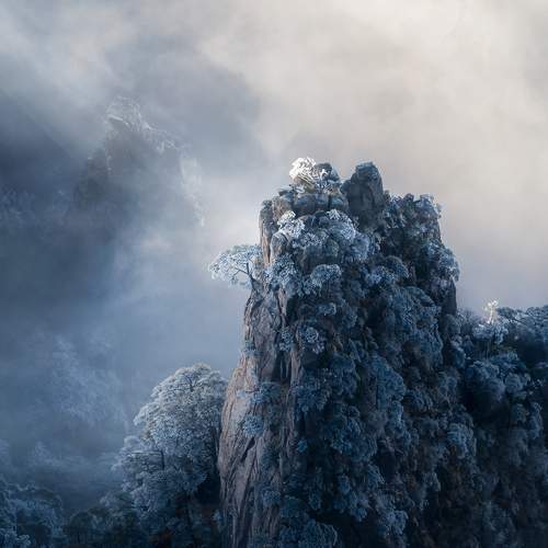 Photo #8704152