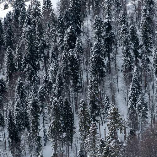 Photo #8704313