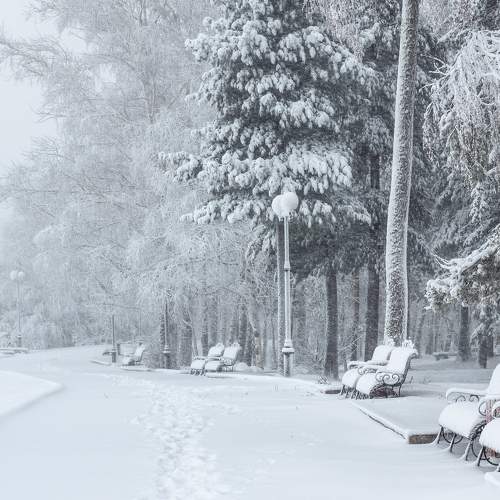 Beautiful snowy morning