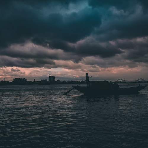 Photo #8704916