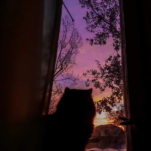 Photo #8705234