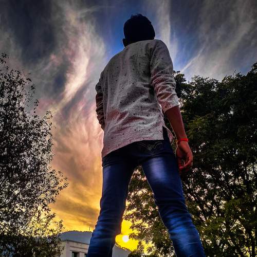 Photo #8705244