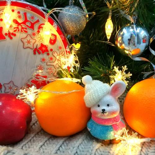Photo #8705654