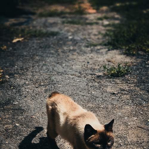 Фотография #8705690