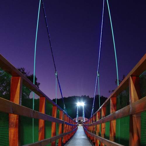 Photo #8705742