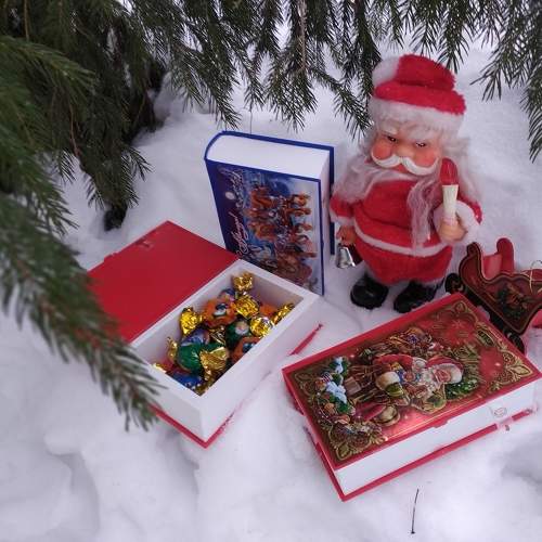 Photo #8705773