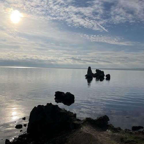 Photo #8705836