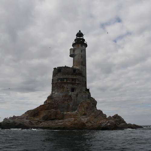 Photo #8705838