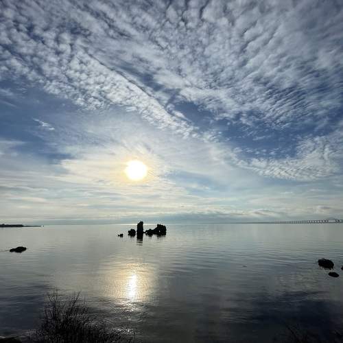 Photo #8705843