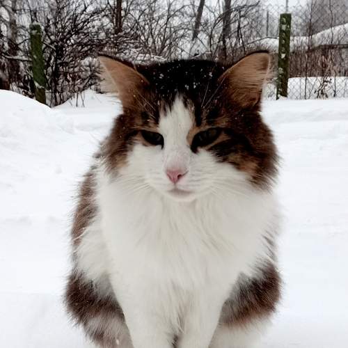Photo #8705876