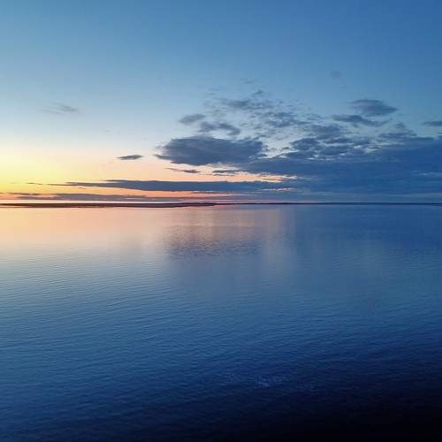Photo #8706629