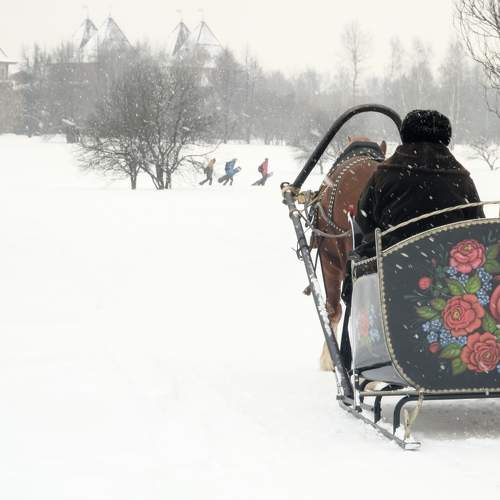 Photo #8706662