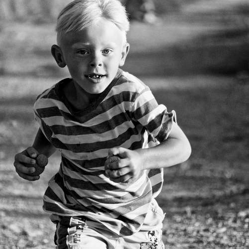 Photo #8706669