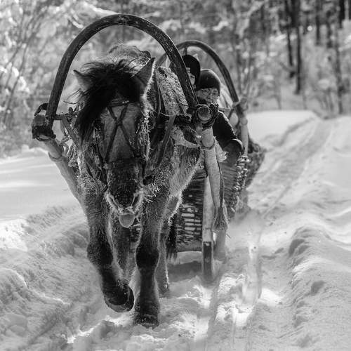 Фотография #8706723