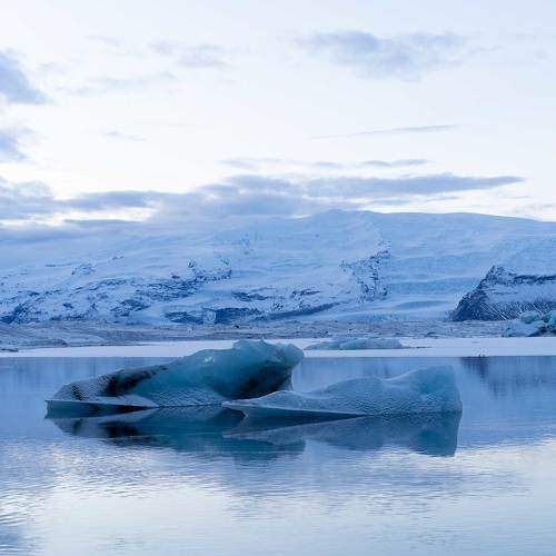 Photo #8707157