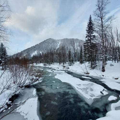 Photo #8707255