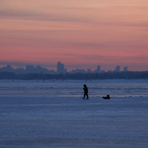 Photo #8707508