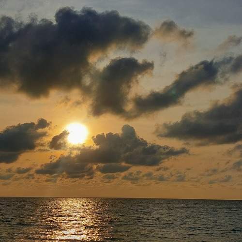 Photo #8707654