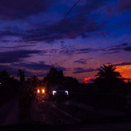 Photo #8708114