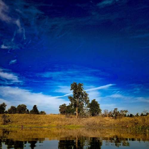 Photo #8708143