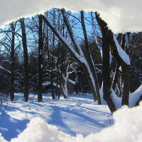 Photo #8708416