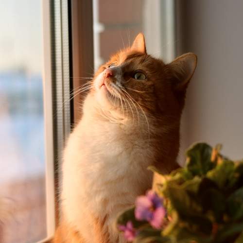 Photo #8709209