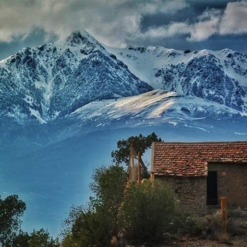 Photo #8709284
