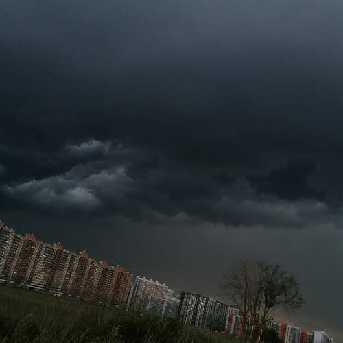 Photo #8709492