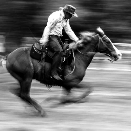 Фотография #8709752