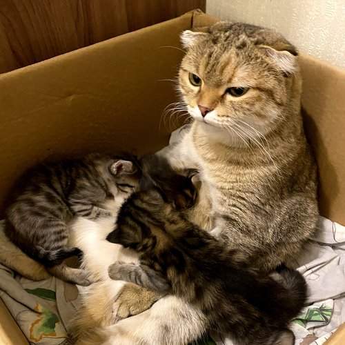 Photo #8709797