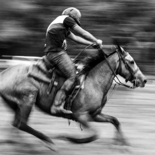 Фотография #8709845