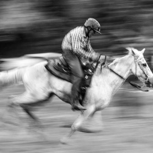 Фотография #8709847