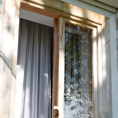 Photo #8710326