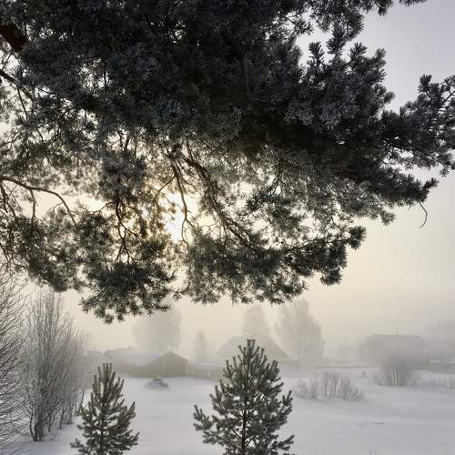 Photo #8710353