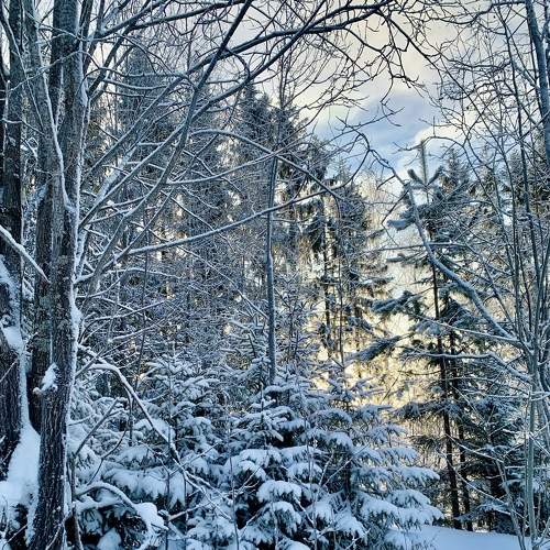 Photo #8710357