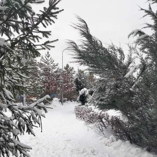 Photo #8710703
