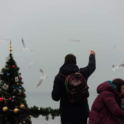 Фотография #8710763