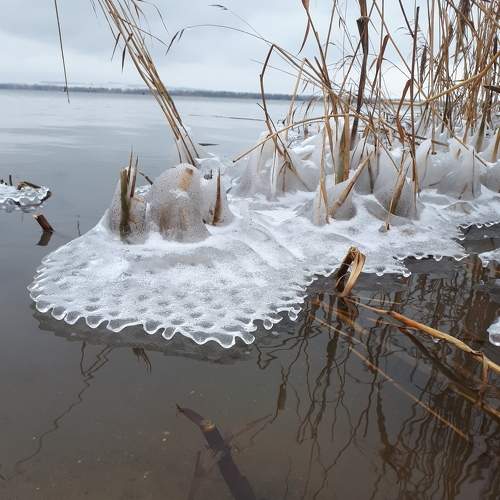 Photo #8711057