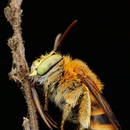 Photo #8711248