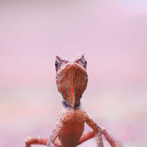 Photo #8711249