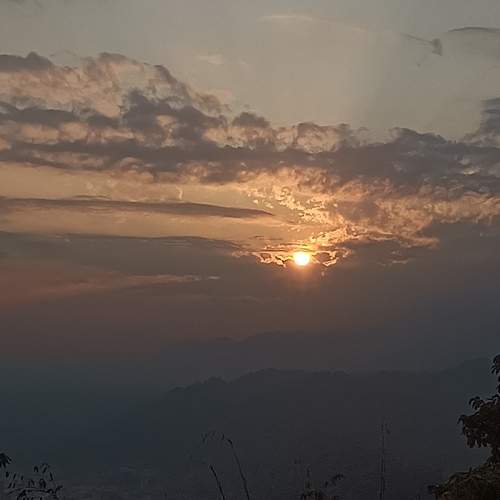 Photo #8711497